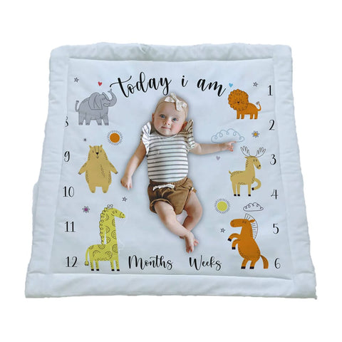 Padded Milestone Mat