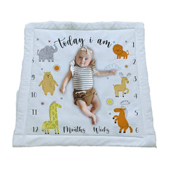 Padded Milestone Mat