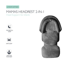 2-in-1 Head Support