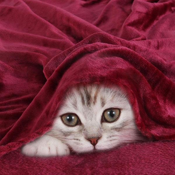 Large Fleece Blanket